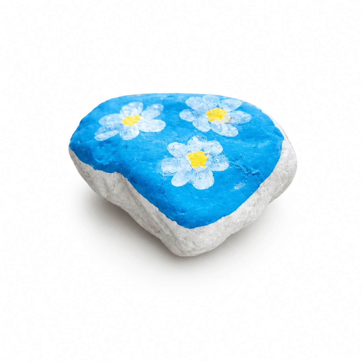 Margaritas Cielo Azul (3)